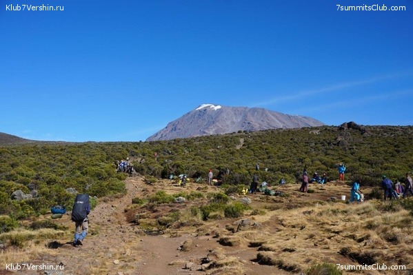 ������������. ������. �������� 2019 ����, ���� 17