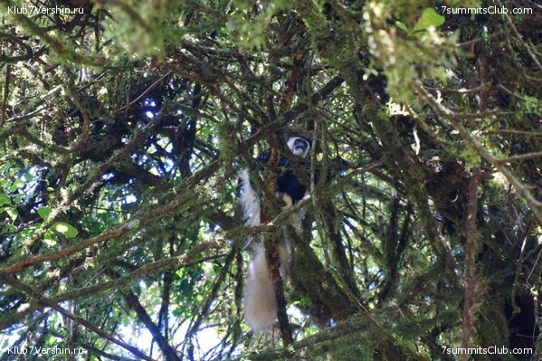 ������������. ������. �������� 2019 ����, ���� 22