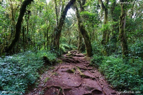 ������������. ������. �������� 2019 ����, ���� 24