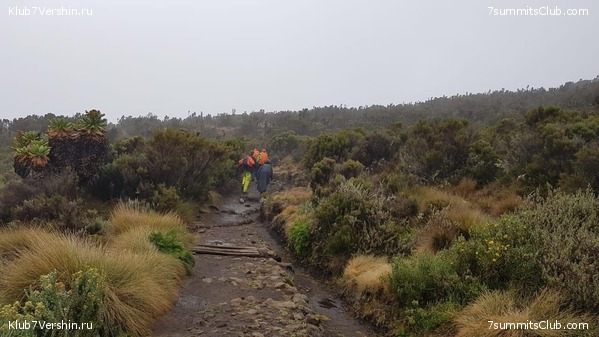 ������������. ������. �������� 2019 ����, ���� 4