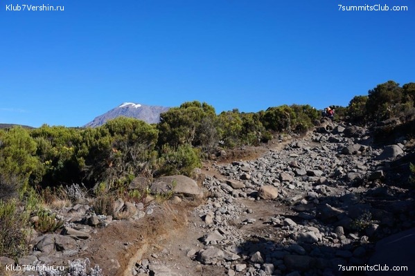 ������������. ������. �������� 2019 ����, ���� 29