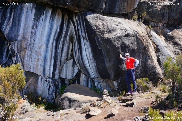 ������������. ������. �������� 2019 ����, ���� 35