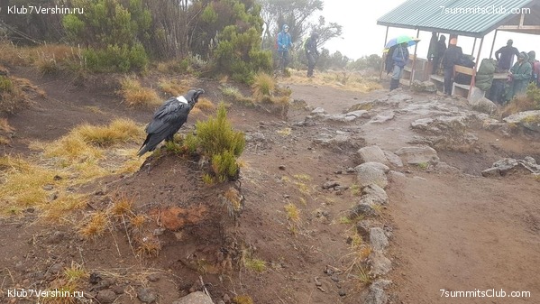 ������������. ������. �������� 2019 ����, ���� 6