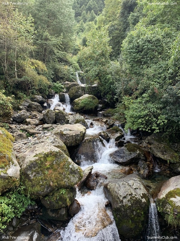 ����� 2019. ������� ���������, ���� 71