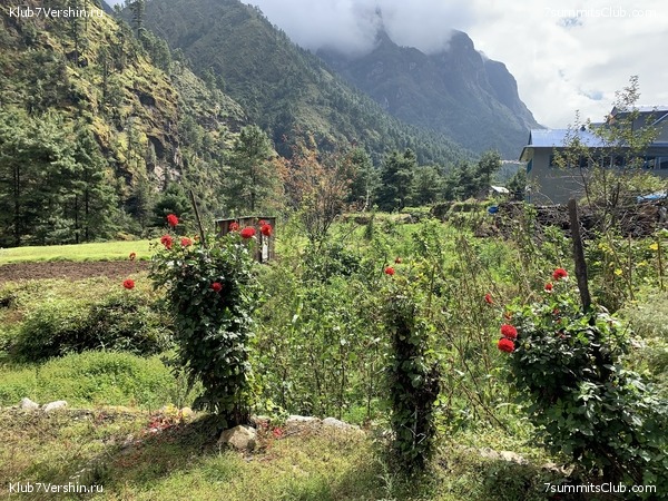 ����� 2019. ������� ���������, ���� 13