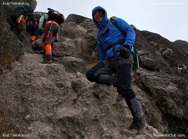 ������������ 2019 ���� - �������, ���� 2