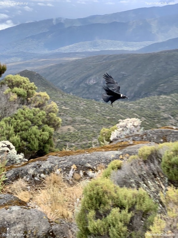 ������������ 2019 ���� - �������, ���� 37