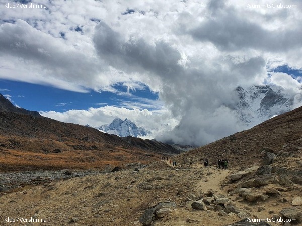 ����� 2019. ������� ���������, ���� 49