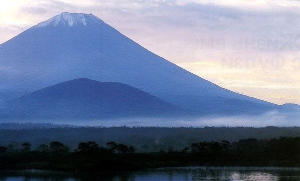 ��������, �������������� ��������, ���� 493