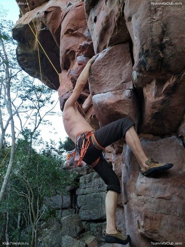 �������� 2019, ���� 33