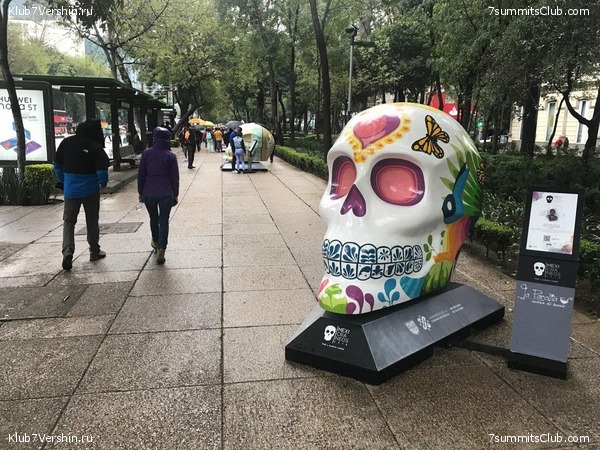 �������. ������� 2019, ���� 8