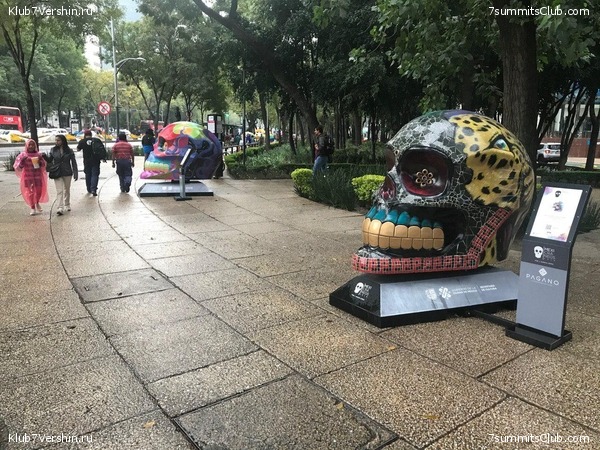 �������. ������� 2019, ���� 9