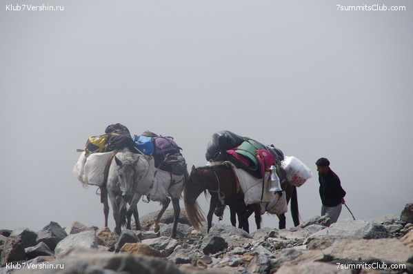 ������ ����.2019 ������� �.�., ���� 13