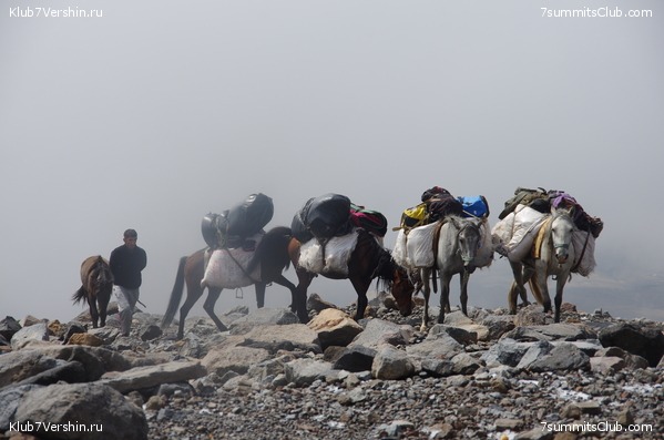 ������ ����.2019 ������� �.�., ���� 14