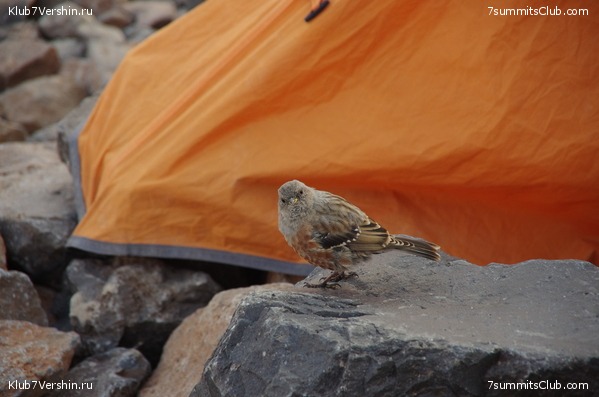 ������ ����.2019 ������� �.�., ���� 18