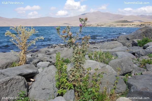 ������ ����.2019 ������� �.�., ���� 33