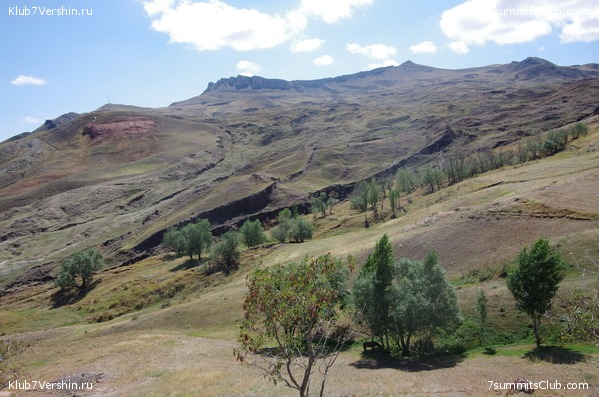 ������ ����.2019 ������� �.�., ���� 36