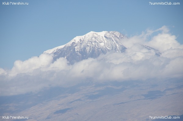 ������ ����.2019 ������� �.�., ���� 37