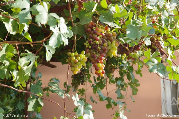 ������ ����.2019 ������� �.�., ���� 67