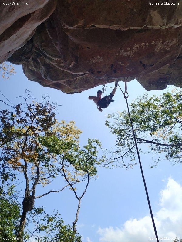 ��������, ���� 40