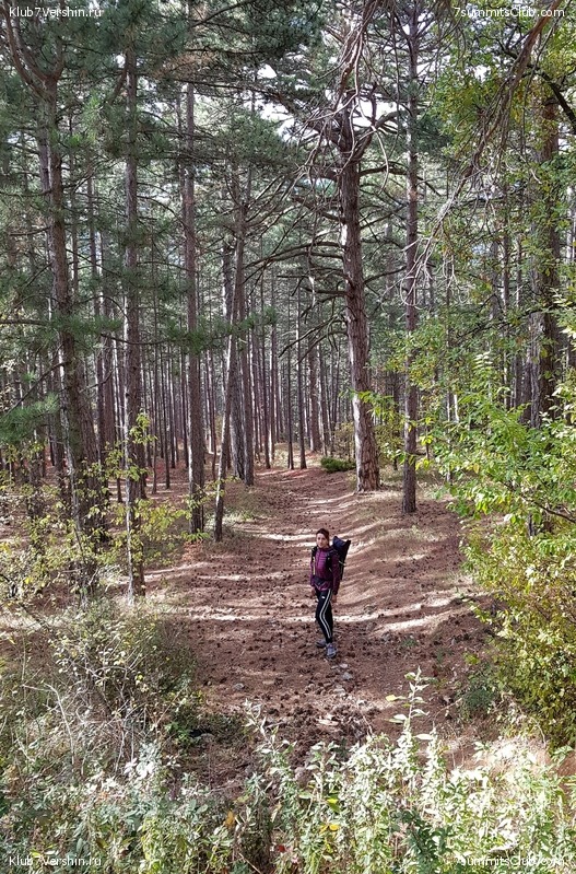 ������ ����� � �����. ���� - ������� 2019, ���� 153