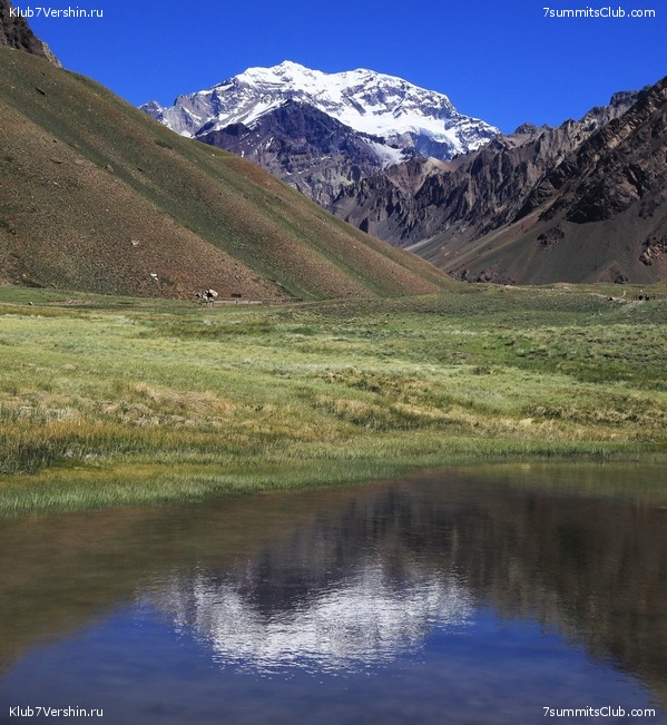 ��������� 2019. ������. ������ ������, ���� 56