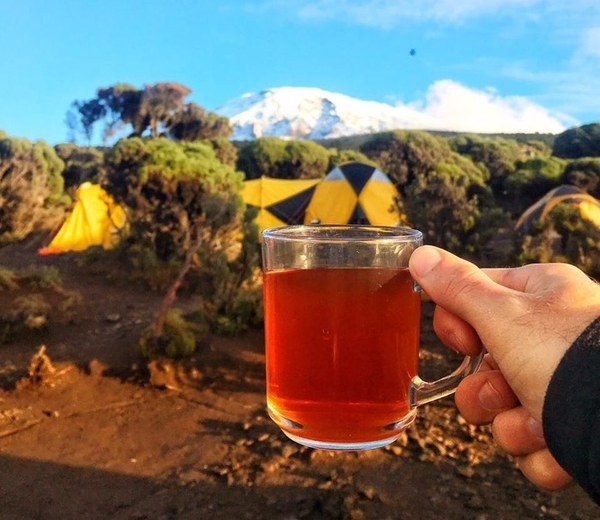 ��������, �������������� ��������, ���� 1565