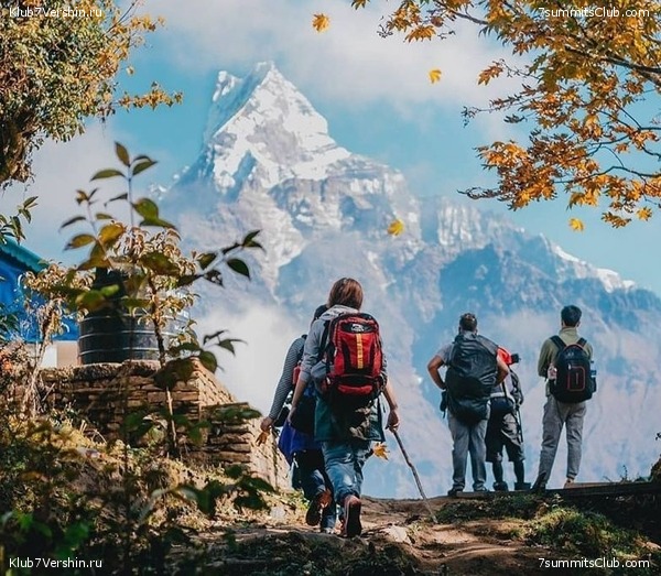 �����. ��������, ������ 2019, ���� 53