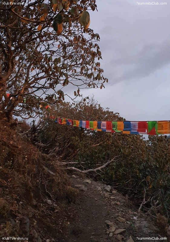 �����. ��������, ������ 2019, ���� 89