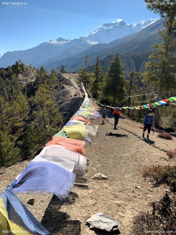 �����. ��������, ������ 2019, ���� 79