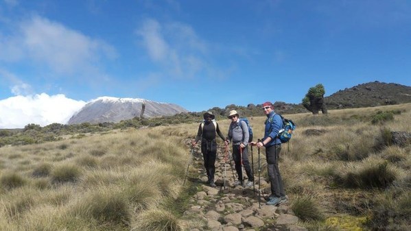 ��������, �������������� ��������, ���� 295