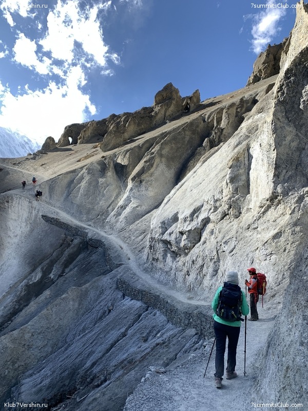 �����. ��������, ������ 2019, ���� 80