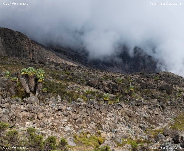 ������������. ������� 2019. ��������� ���������, ���� 40