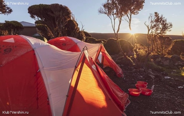 ������������. ������� 2019. ��������� ���������, ���� 12