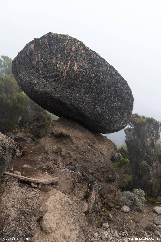 ������������. ������� 2019. ��������� ���������, ���� 49