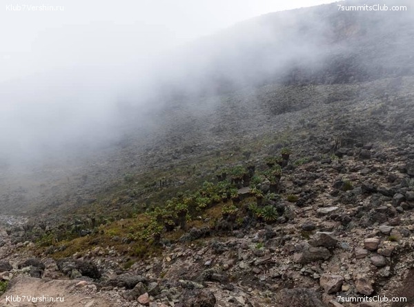 ������������. ������� 2019. ��������� ���������, ���� 37