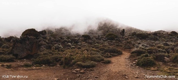 ������������. ������� 2019. ��������� ���������, ���� 2