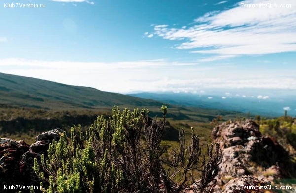 ������������. ������� 2019. ��������� ���������, ���� 14