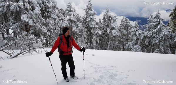 ���� ��������, ���� 6