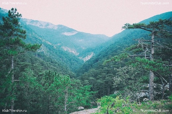 �������� ���� � �����, ���� 60