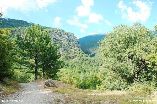 �������� ���� � �����, ���� 61