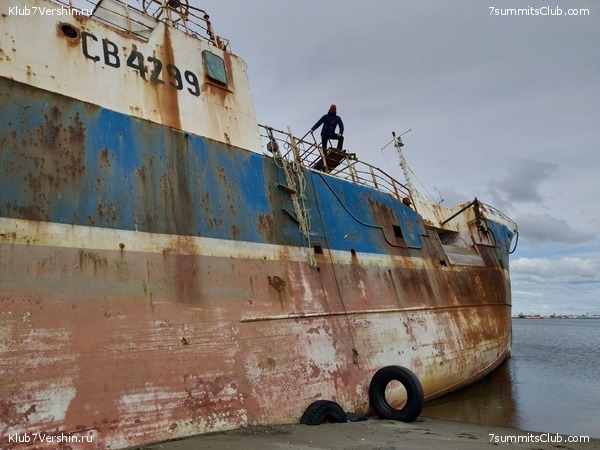 ���������� 2019 - 2020. ������ ������, ���� 31