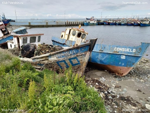 ���������� 2019 - 2020. ������ ������, ���� 36