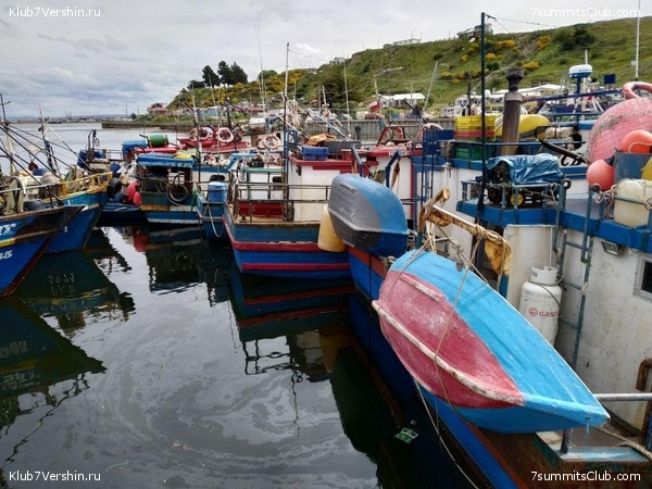 ���������� 2019 - 2020. ������ ������, ���� 37