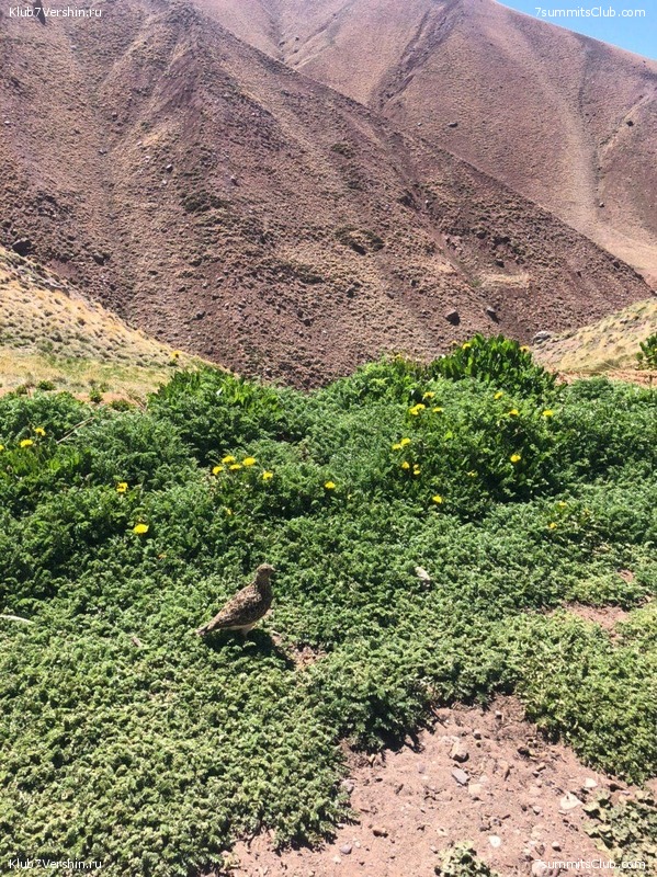 ��������� 2019 - 2020. ������� ������ 1, ���� 162