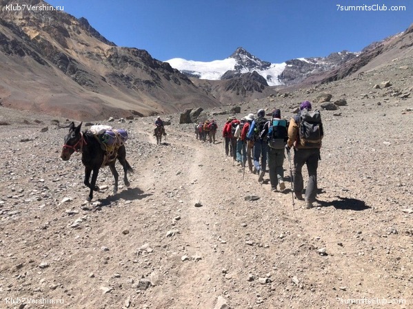 ��������� 2019 - 2020. ������� ������ 1, ���� 24