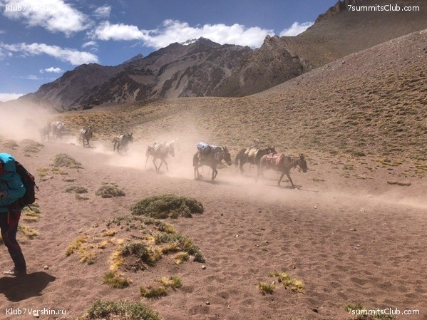 ��������� 2019 - 2020. ������� ������ 1, ���� 27