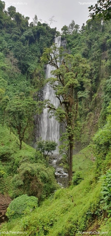 ������������. ����� ��� 2019- 2020, ���� 15