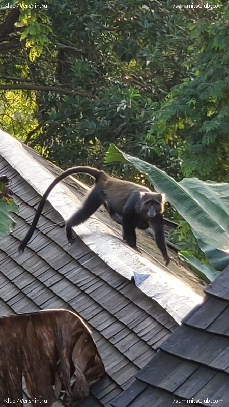 ������������. ����� ��� 2019- 2020, ���� 14