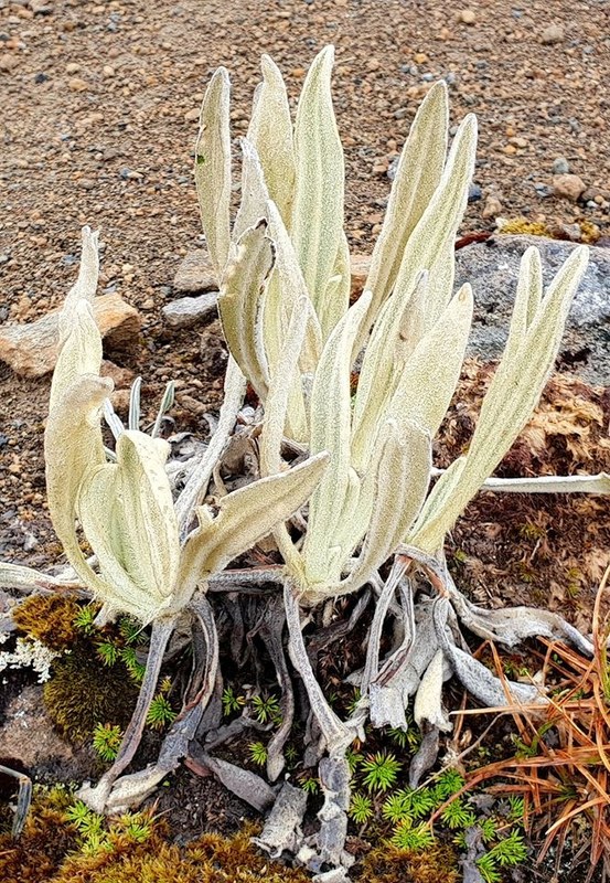 ������� 2019. ��������� ��������� - ����� �����, ���� 85